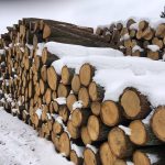 2026 02 17 08.56.11 150x150